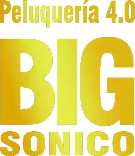 Big Sónico Logo